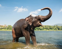 Periyar Wildlife National Park