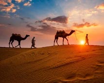 Camel Safari Holiday